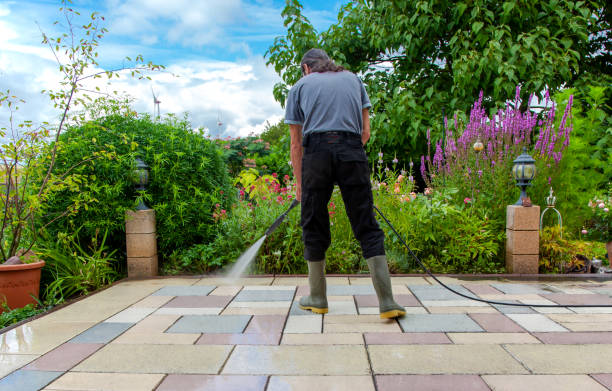 Best Driveway Pressure Washing  in Bedford, VA
